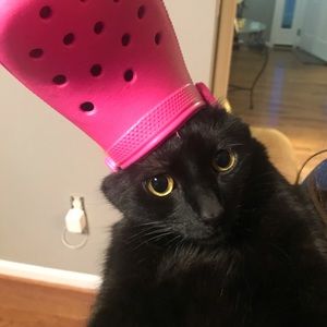 Meet your Posher, Michaela